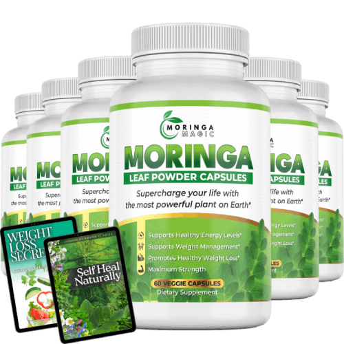 Moringa Magic best pricing